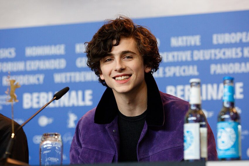 Timothee Chalamet Height, Weight, Measurements, Eye Color, Biography