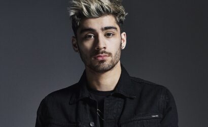 Zayn_Wiki